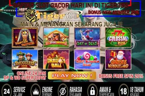 Tigerbet388 Live Slot Online – Dapatkan Promo Spesial Harian