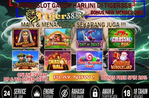 Tigerbet388 Slot Gaming Bonus Harian Untuk Semua Member